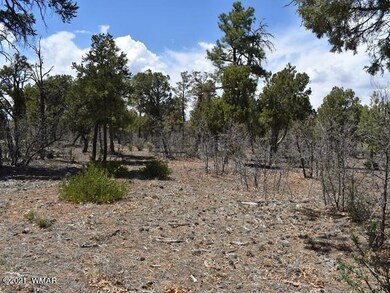 004_1.14 acres (approx 49,658 sf)
