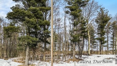 11525 Fillmore St, West Olive, MI 49460 - photo 5