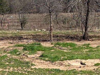 1203 Sandy Ln, Weatherford, TX 76088 - photo 2