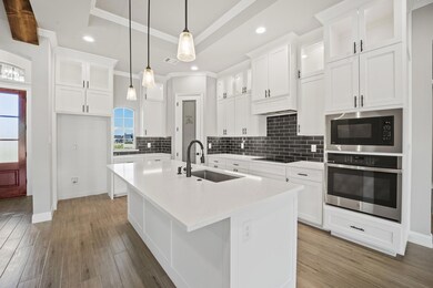 3005 Infinity Dr, Weatherford, TX 76087 - photo 3