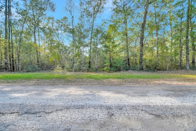 100 Virginia Creek, Coldspring, TX 77331 - photo 3