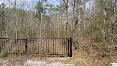 551 Grayton Rd S, Ohatchee, AL 36206 - photo 2