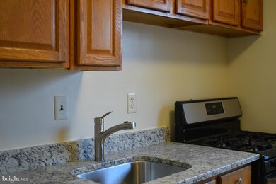 5114 Columbia Pike unit 2, Arlington, VA 22204 - photo 5