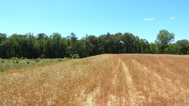 206 Hugh White State Park Rd, Grenada, MS 38901 - photo 6