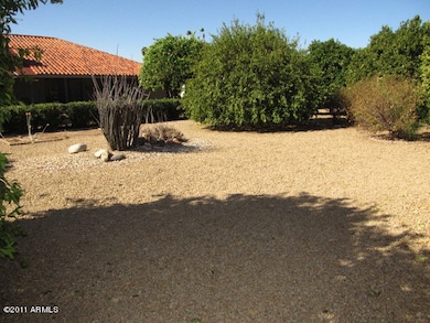 023-316596 - back yard