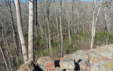 Additional View