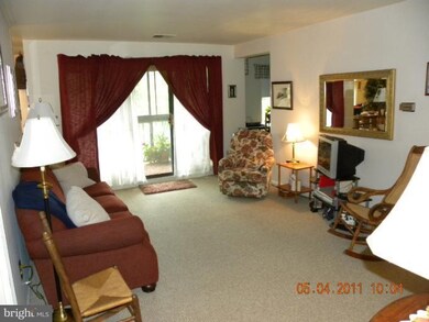 1034 Brinker 201 Dr unit 201, Hagerstown, MD 21740 - photo 6