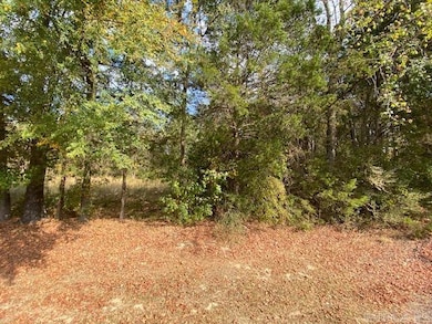 00 N Lily and Hwy 60 Hwy, Houston, AR 72070 - photo 4