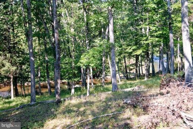 8412 Leeds Manor Rd, Amissville, VA 20106 - photo 3