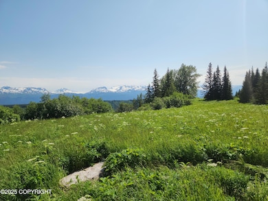 44931 Fox View Dr, Homer, AK 99603 - photo 3