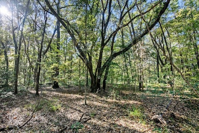 HFL_PLOW GROUND RD_30 ACRES-5