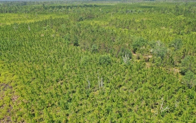 0 County Line & Prine unit 129261, Lee, FL 32059 - photo 7