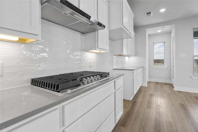 3909 Southbend Dr, Denison, TX 75020 - photo 7