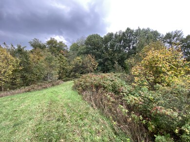 IMG_6114