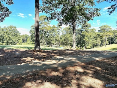 Lot 525/526 Falling Leaf Ln, Union Grove, AL 35175 - photo 2