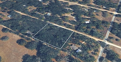 8856 N Himalayas Point, Dunnellon, FL 34433 - photo 2