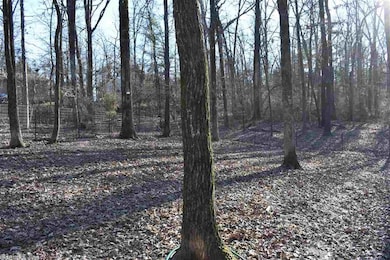 0 Cr 744, Jonesboro, AR 72401 - photo 2