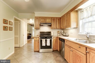 4405 Morgal St, Rockville, MD 20853 - photo 7