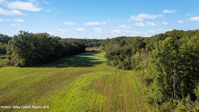 161 Roundtop Rd, Germantown, NY 12526 - photo 2