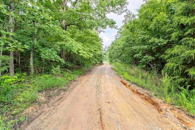 00 Red Fox Rd, Hardy, AR 72542 - photo 2