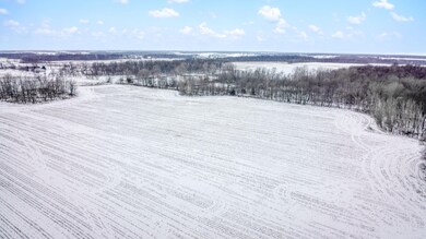 DJI_0439