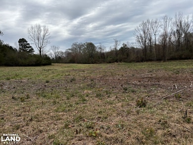 8735 Fernbank Rd, Millport, AL 35576 - photo 5