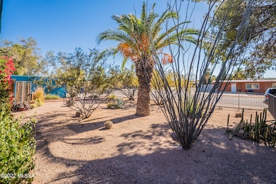 Fenced Front Yard