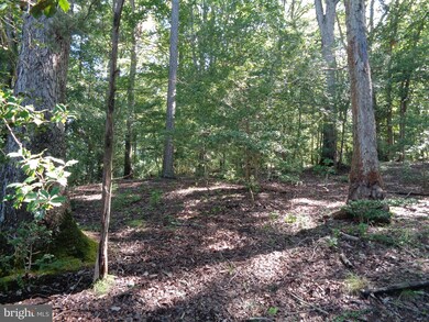 0 Clydeside Rd, South, VA 22560 - photo 6