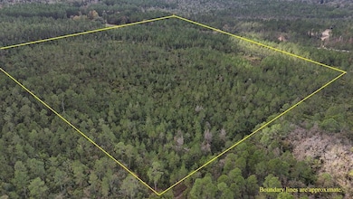 0 Deep Creek Rd, Wiggins, MS 39577 - photo 3