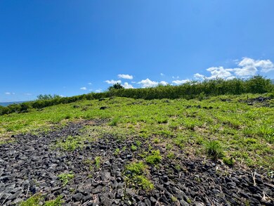 85-5315 Kiilae Rd, Captain Cook, HI 96704 - photo 5