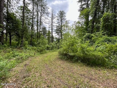 0 Glendale Rd unit 245211, Stockbridge, MA 01262 - photo 4