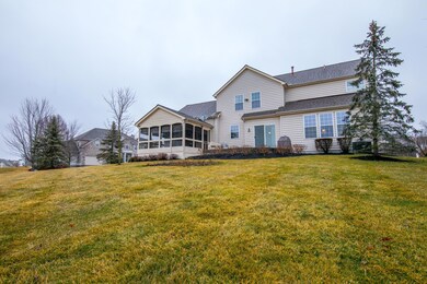 Yard and Rear