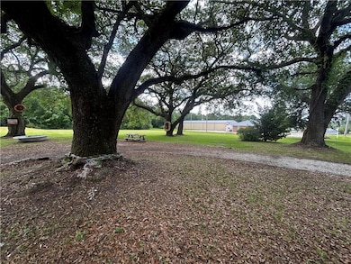 View of grassy yard