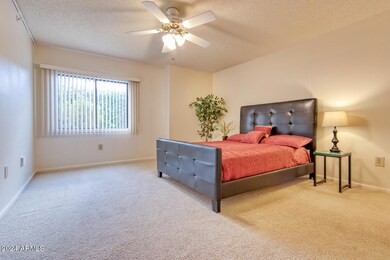 Extra large master bedroom