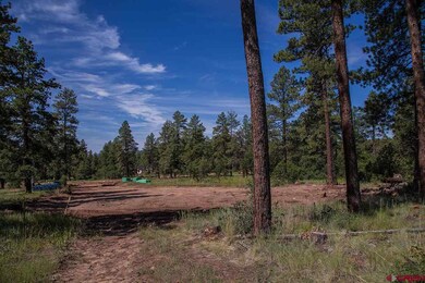 0 Lime Mesa Ct unit 707809, Durango, CO 81301 - photo 3