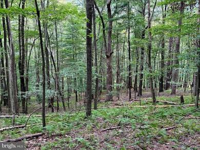 Lot 20 Wits End, Mathias, WV 26812 - photo 2