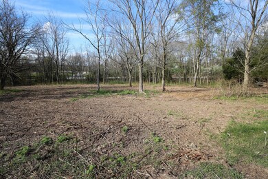 000 Tract #1 Shelvin Rock Rd, Nixa, MO 65714 - photo 2