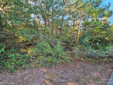 0 General Griffith Cir unit 25, Rutherfordton, NC 28139 - photo 5