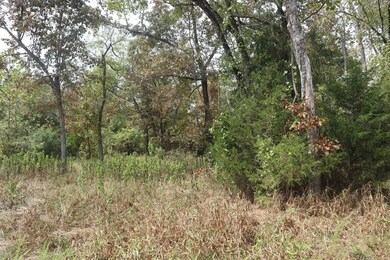 253 Coyote Rd, Salem, AR 72576 - photo 7