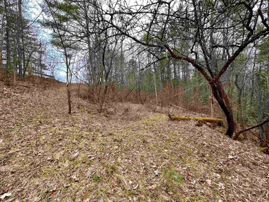 0 Highland St, Whitefield, NH 03598 - photo 5