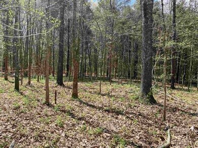 3845 Mebane Rd, Oakland, TN 38060 - photo 4