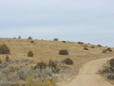 NYA New Mexico 516, Farmington, NM 87401 - photo 4