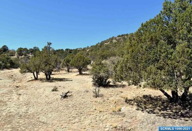 5207 Little Walnut Rd, Silver City, NM 88061 - photo 3