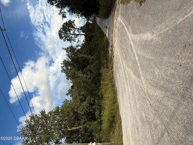 45009 3rd St, Deland, FL 32720 - photo 7