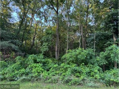 Three Village lots o Fifth & Elm Street St, Pepin, WI 54759 - photo 5