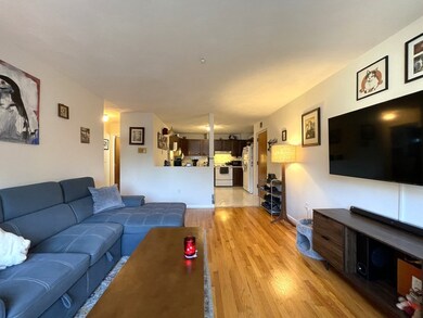 6 Mclean Place unit 3, Cambridge, MA 02140 - photo 3