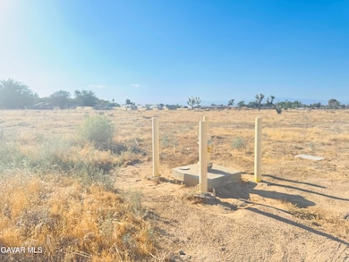 0 W Vic Ave N, Palmdale, CA 93551 - photo 3