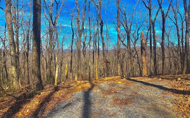 LT 67 Mealer Rd, Ellijay, GA 30536 - photo 7