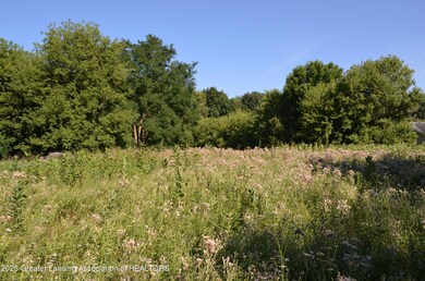 0 Edgar Rd unit 290334, Leslie, MI 49251 - photo 2