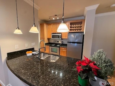 2716 McKnight Crossing Ct unit 114, Saint Louis, MO 63124 - photo 6